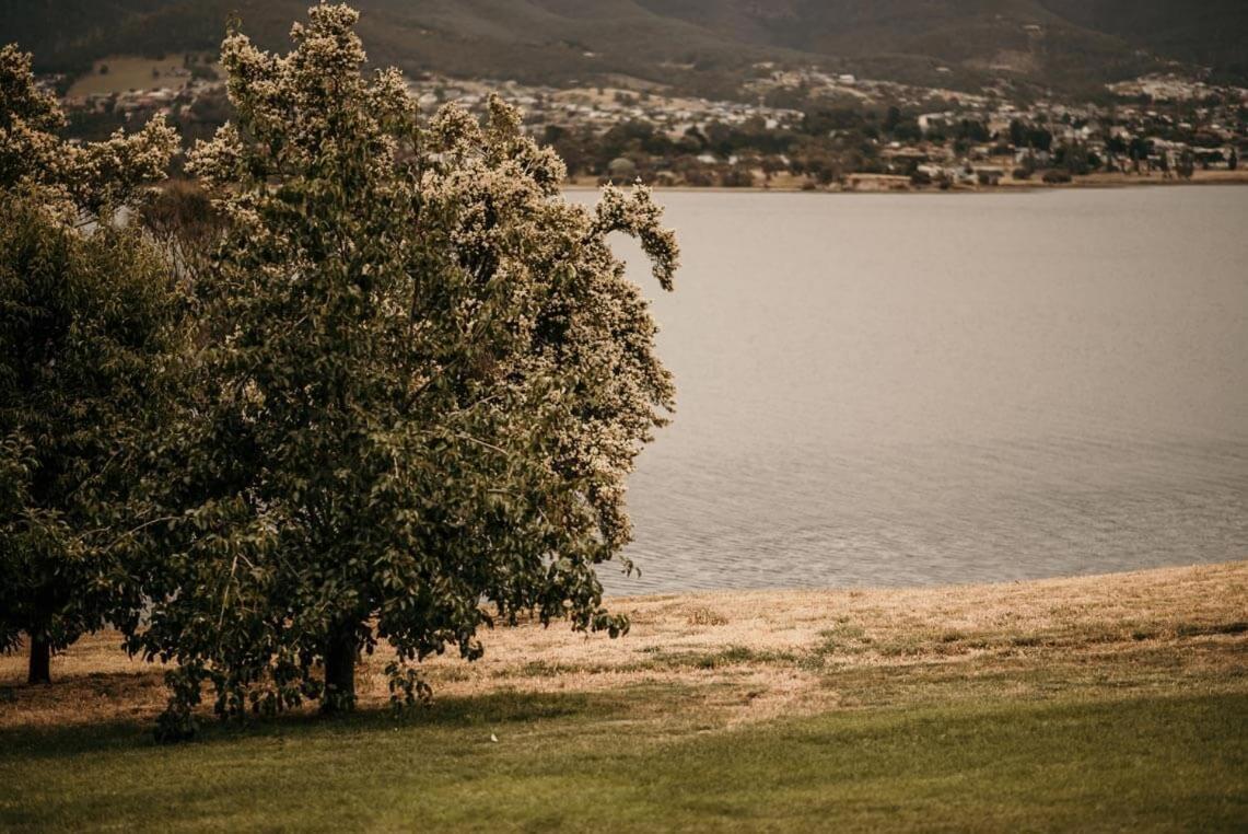 Otago Cottage Hobart Eksteriør bilde