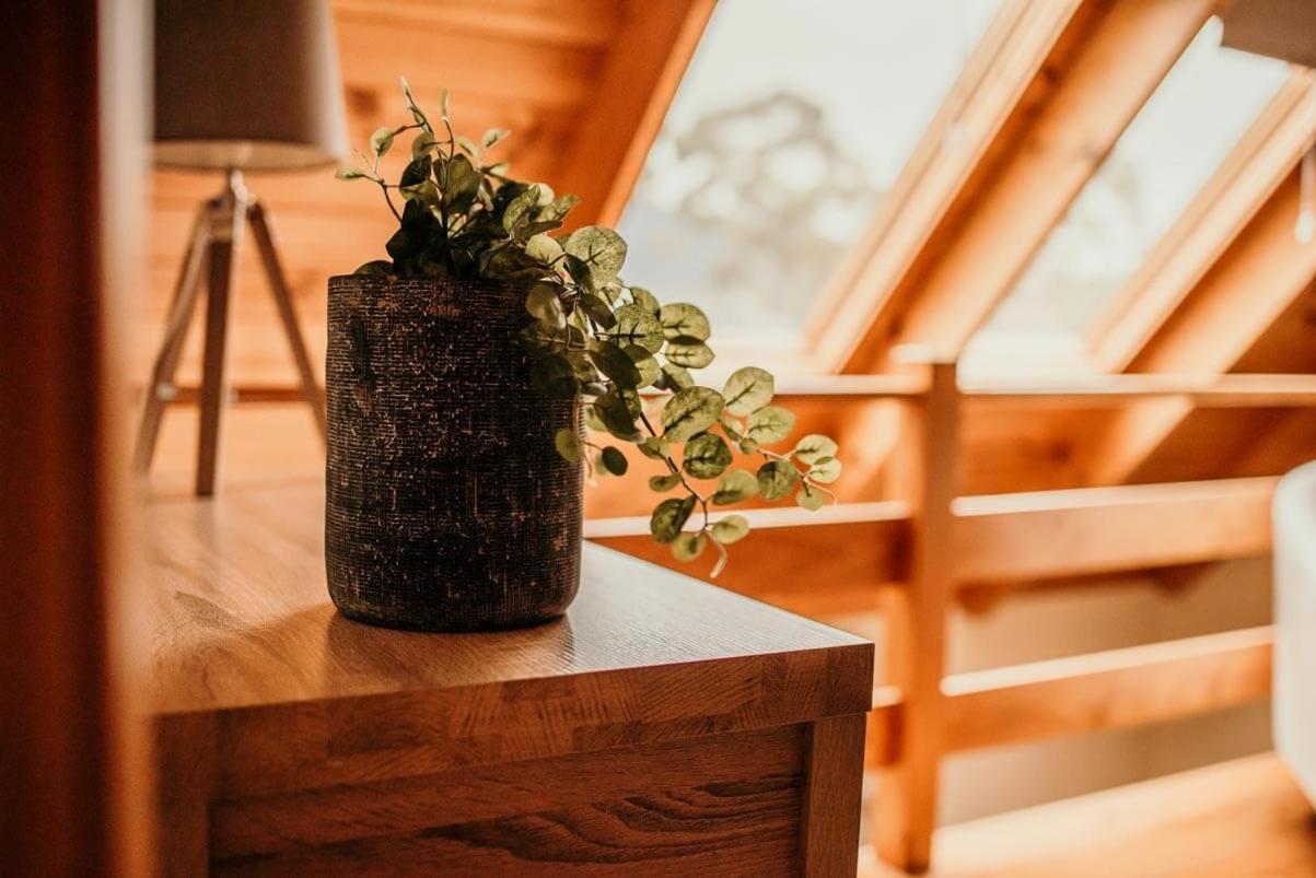 Otago Cottage Hobart Eksteriør bilde